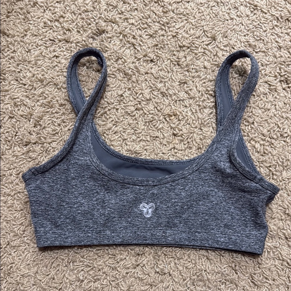 Aritzia TnAction Gray Sports Bra